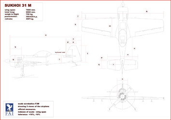 Sukhoi 31 M